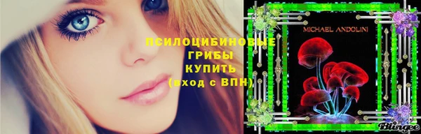 гашик Медвежьегорск