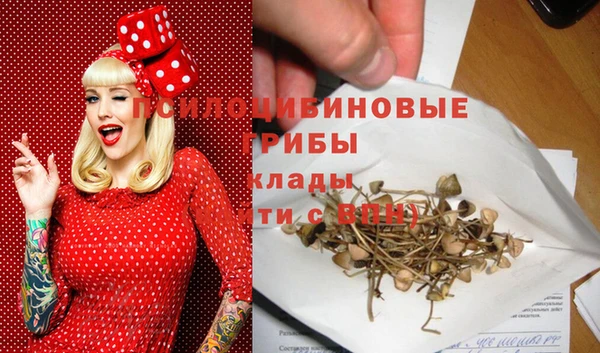 бошки Мегион