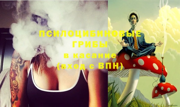 бошки Мегион