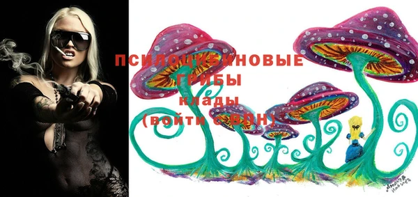 альфа пвп Медногорск