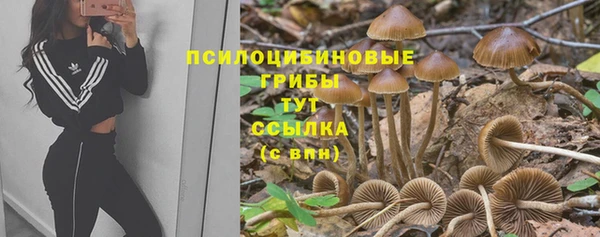 гашик Медвежьегорск