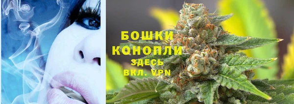 бошки Мегион