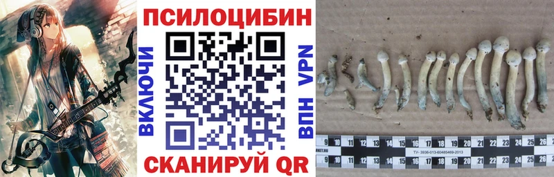 Псилоцибиновые грибы мицелий  Чудово 