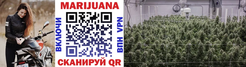 где можно купить наркотик  mega ССЫЛКА  МАРИХУАНА OG Kush  Чудово 